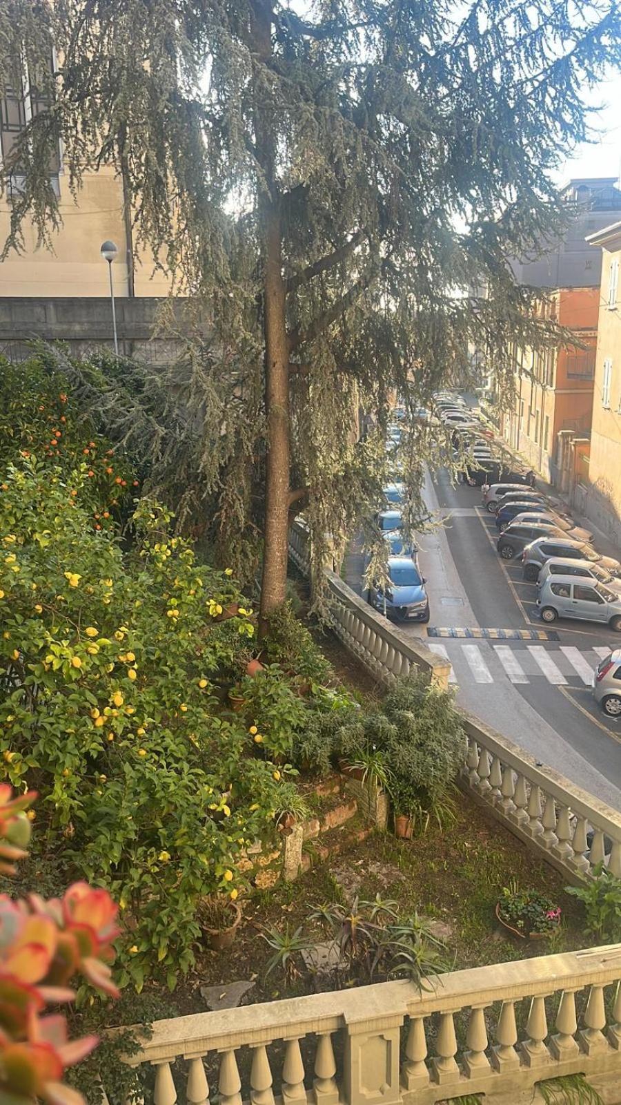 Delizioso * La Spezia
